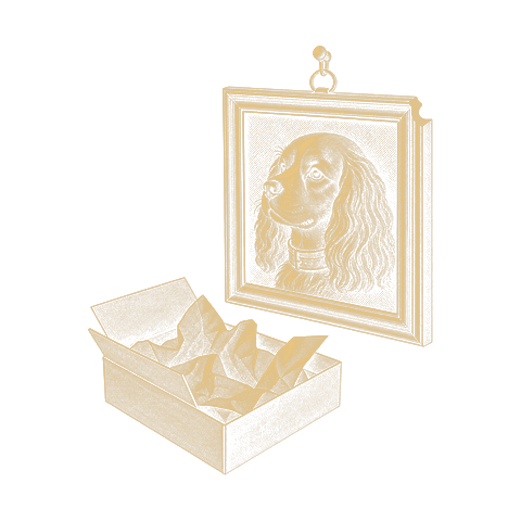 Goudlijntekening: het ingelijste portret van de hond hangt aan een haakje; eronder de geopende doos met vloeipapier waaruit het kwam